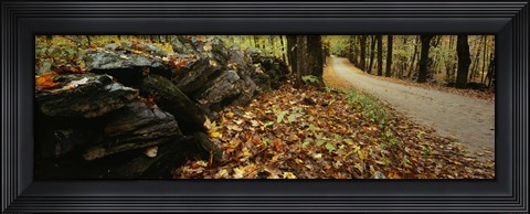 Framed Road passing through a forest, White Mountains, New Hampshire Print