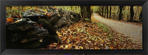 Framed Road passing through a forest, White Mountains, New Hampshire Print