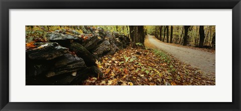 Framed Road passing through a forest, White Mountains, New Hampshire Print