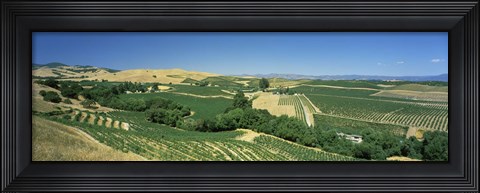 Framed Carneros District, Napa Valley, Napa County, California Print