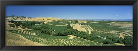 Framed Carneros District, Napa Valley, Napa County, California Print