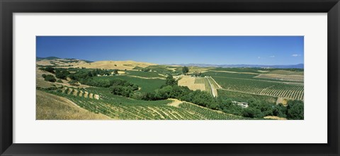 Framed Carneros District, Napa Valley, Napa County, California Print