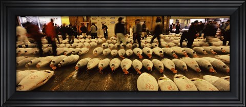 Framed Tuna auction at a fish market, Tsukiji Fish Market, Chuo Ward, Tsukiji, Tokyo Prefecture, Kanto Region, Honshu, Japan Print