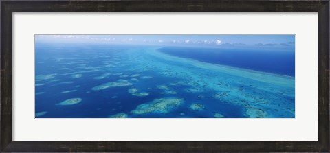 Framed Coral reef in the sea, Belize Barrier Reef, Ambergris Caye, Caribbean Sea, Belize Print