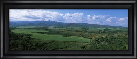 Framed High angle view of sugar cane fields, Cienfuegos, Cienfuegos Province, Cuba Print