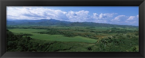 Framed High angle view of sugar cane fields, Cienfuegos, Cienfuegos Province, Cuba Print