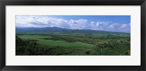 Framed High angle view of sugar cane fields, Cienfuegos, Cienfuegos Province, Cuba Print