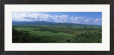 Framed High angle view of sugar cane fields, Cienfuegos, Cienfuegos Province, Cuba Print