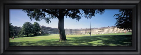 Framed Tree in front of a building, Royal Crescent, Bath, England Print