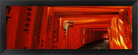 Framed Torii gates of a shrine, Fushimi Inari-Taisha, Fushimi Ward, Kyoto, Kyoto Prefecture, Kinki Region, Honshu, Japan Print