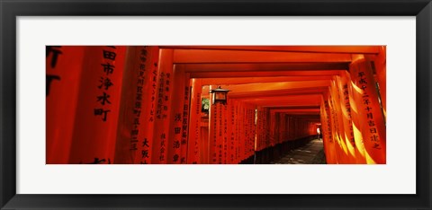 Framed Torii gates of a shrine, Fushimi Inari-Taisha, Fushimi Ward, Kyoto, Kyoto Prefecture, Kinki Region, Honshu, Japan Print