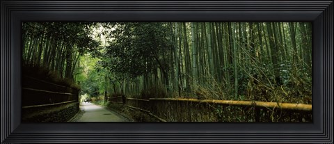 Framed Road passing through a bamboo forest, Arashiyama, Kyoto Prefecture, Kinki Region, Honshu, Japan Print