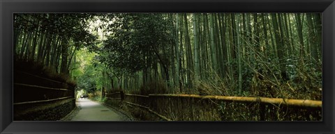 Framed Road passing through a bamboo forest, Arashiyama, Kyoto Prefecture, Kinki Region, Honshu, Japan Print