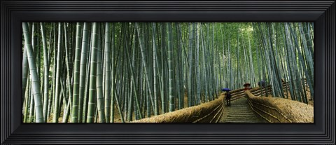 Framed Stepped walkway passing through a bamboo forest, Arashiyama, Kyoto Prefecture, Kinki Region, Honshu, Japan Print
