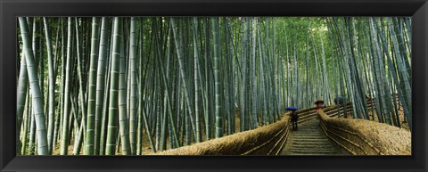 Framed Stepped walkway passing through a bamboo forest, Arashiyama, Kyoto Prefecture, Kinki Region, Honshu, Japan Print