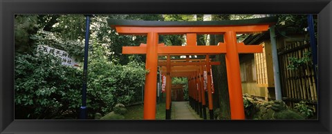 Framed Torii Gates in a park, Ueno Park, Taito, Tokyo Prefecture, Kanto Region, Japan Print