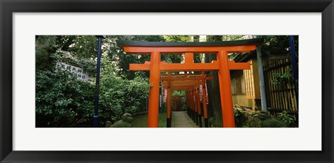 Framed Torii Gates in a park, Ueno Park, Taito, Tokyo Prefecture, Kanto Region, Japan Print