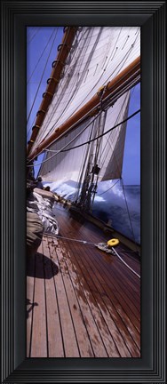 Framed Sailboat in the sea, Antigua (vertical) Print