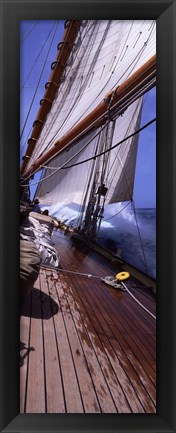 Framed Sailboat in the sea, Antigua (vertical) Print