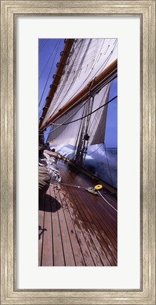 Framed Sailboat in the sea, Antigua (vertical) Print