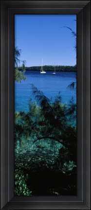 Framed Sailboats in the ocean, Kingdom of Tonga, Vava&#39;u Group of Islands, South Pacific Print