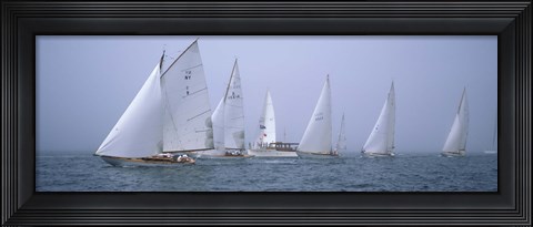 Framed Yachts racing in the ocean, Annual Museum Of Yachting Classic Yacht Regatta, Newport, Newport County, Rhode Island, USA Print
