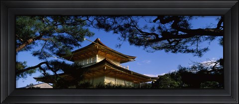 Framed Low angle view of trees in front of a temple, Kinkaku-ji Temple, Kyoto City, Kyoto Prefecture, Kinki Region, Honshu, Japan Print