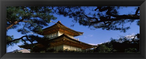 Framed Low angle view of trees in front of a temple, Kinkaku-ji Temple, Kyoto City, Kyoto Prefecture, Kinki Region, Honshu, Japan Print