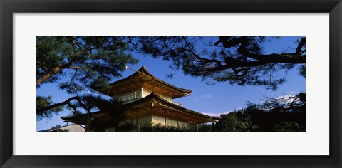 Framed Low angle view of trees in front of a temple, Kinkaku-ji Temple, Kyoto City, Kyoto Prefecture, Kinki Region, Honshu, Japan Print