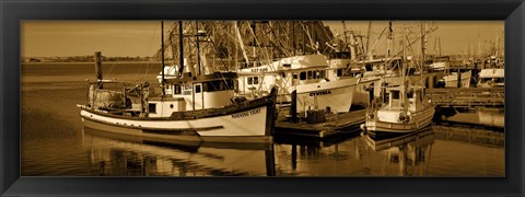 Framed Fishing boats in the sea, Morro Bay, San Luis Obispo County, California, USA Print