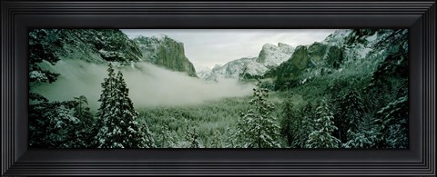Framed Trees in a forest, Yosemite National Park, Mariposa County, California, USA Print