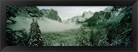Framed Trees in a forest, Yosemite National Park, Mariposa County, California, USA Print