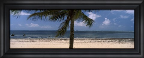 Framed Palm tree on the beach, Malindi, Coast Province, Kenya Print