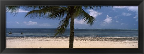 Framed Palm tree on the beach, Malindi, Coast Province, Kenya Print