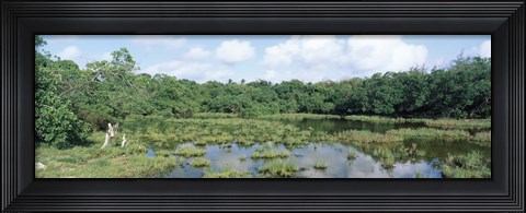 Framed Reflection of clouds in water, Watamu Marine National Park, Watamu, Coast Province, Kenya Print