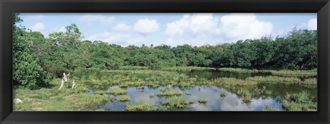 Framed Reflection of clouds in water, Watamu Marine National Park, Watamu, Coast Province, Kenya Print