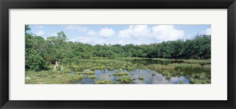 Framed Reflection of clouds in water, Watamu Marine National Park, Watamu, Coast Province, Kenya Print