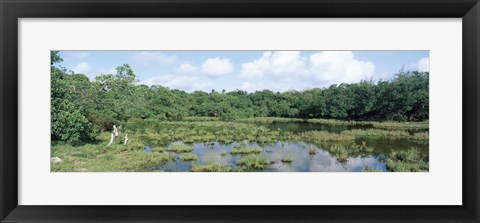 Framed Reflection of clouds in water, Watamu Marine National Park, Watamu, Coast Province, Kenya Print