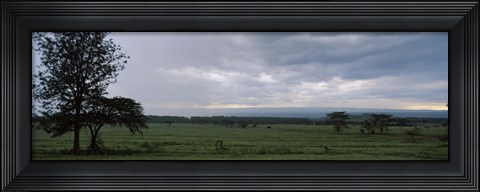 Framed Lake Nakuru National Park, Great Rift Valley, Kenya Print