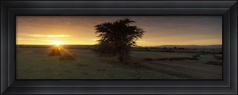 Framed Sunset over a landscape, Masai Mara National Reserve, Great Rift Valley, Kenya Print