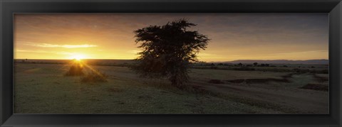 Framed Sunset over a landscape, Masai Mara National Reserve, Great Rift Valley, Kenya Print