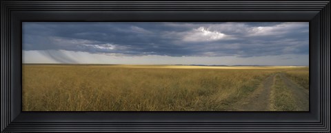 Framed Dirt road passing through a meadow, Masai Mara National Reserve, Great Rift Valley, Kenya Print