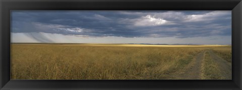 Framed Dirt road passing through a meadow, Masai Mara National Reserve, Great Rift Valley, Kenya Print