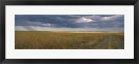 Framed Dirt road passing through a meadow, Masai Mara National Reserve, Great Rift Valley, Kenya Print