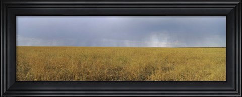 Framed Clouds over a meadow, Masai Mara National Reserve, Great Rift Valley, Kenya Print