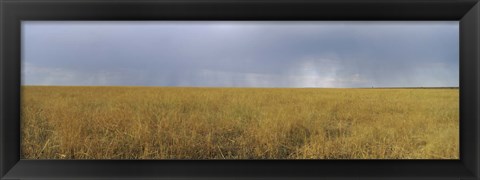 Framed Clouds over a meadow, Masai Mara National Reserve, Great Rift Valley, Kenya Print