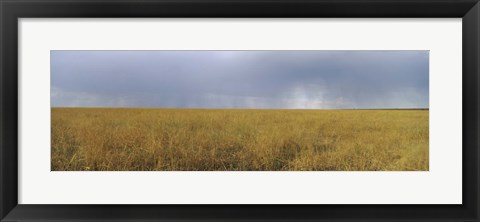 Framed Clouds over a meadow, Masai Mara National Reserve, Great Rift Valley, Kenya Print