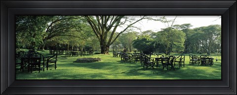 Framed Chairs and tables in a lawn, Lake Naivasha Country Club, Great Rift Valley, Kenya Print