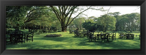 Framed Chairs and tables in a lawn, Lake Naivasha Country Club, Great Rift Valley, Kenya Print