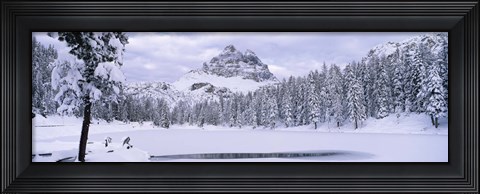 Framed Trees along a frozen lake, Lake Antorno, Tre Cime Di Lavaredo, Dolomites, Cadore, Province of Belluno, Veneto, Italy Print